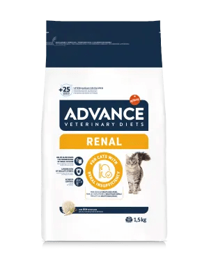 RENAL