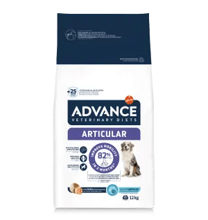 ARTICULAR