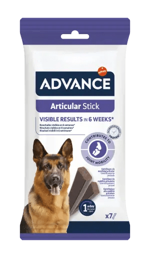 ARTICULAR STICK