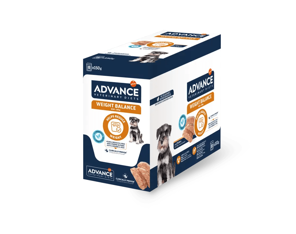 WEIGHT BALANCE MINI