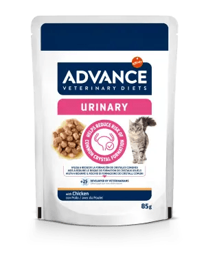URINARY