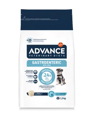 GASTROENTERIC MINI
