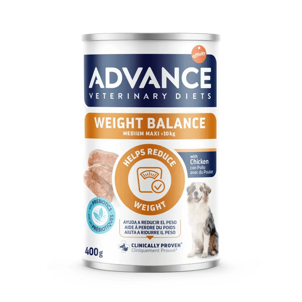 WEIGHT BALANCE MEDIUM-MAXI