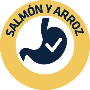 SALMON Y ARROZ