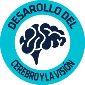 DESARROLLO DEL CEREBRO Y LA VISIÓN