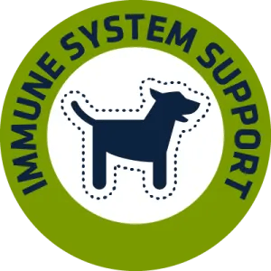 IMMUNE SYSTEM SUPPORT