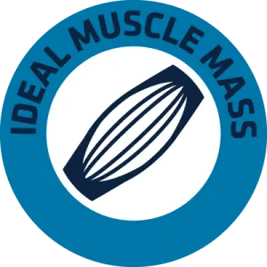 IDEAL MUSCLE MASS