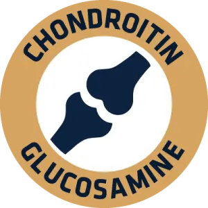 CHONDROITIN GLUCOSAMINE