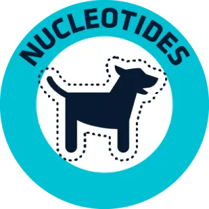 NUCLEOTIDES