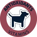 VITAMINAS Y ANTIOXIDANTES