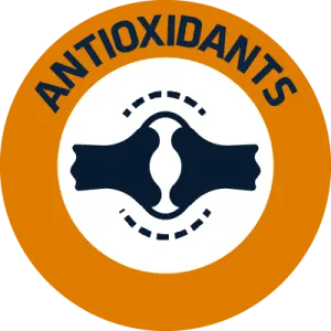 ANTIOXIDANTES