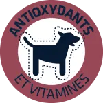 VITAMINAS Y ANTIOXIDANTES