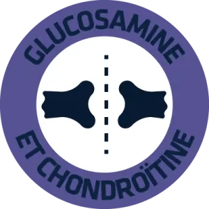 GLUCOSAMINA Y CONDROITINA