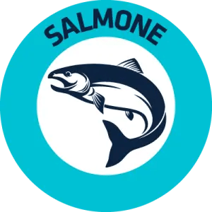 SALMON