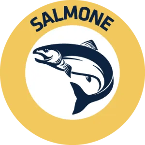 SALMON