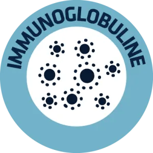 Immunoglobuline