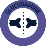 GLUCOSAMINE