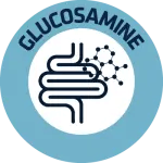 Glucosamine en chondroïtine