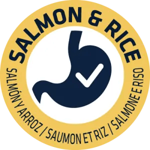 SALMON AND RICE