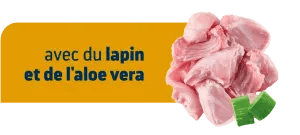 ATOPIC & FOOD SENSITIVITY RABBIT
