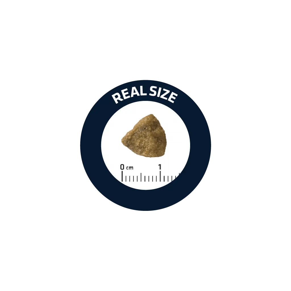 HAIRBALL (NON STERILIZED)