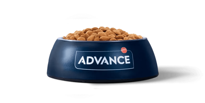 ADVANCE Puppy mini comida cachorros perros