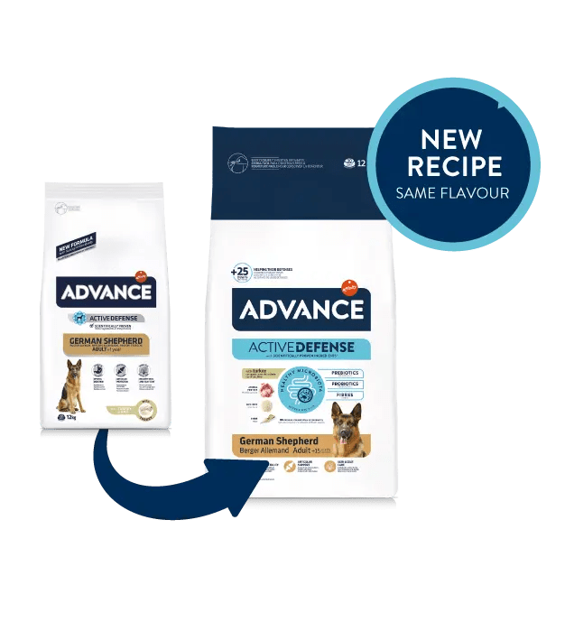 Advance active dog clearance food