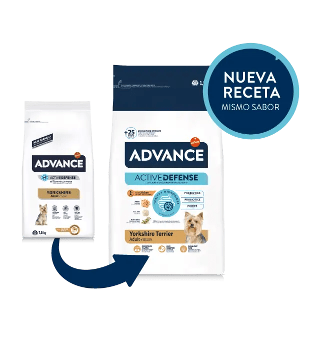 ADVANCE Yorkshire Terrier Puppy Alimento especial para cachorros con yogur  y sabor a jamón cocido Bolsa 1,5 kg