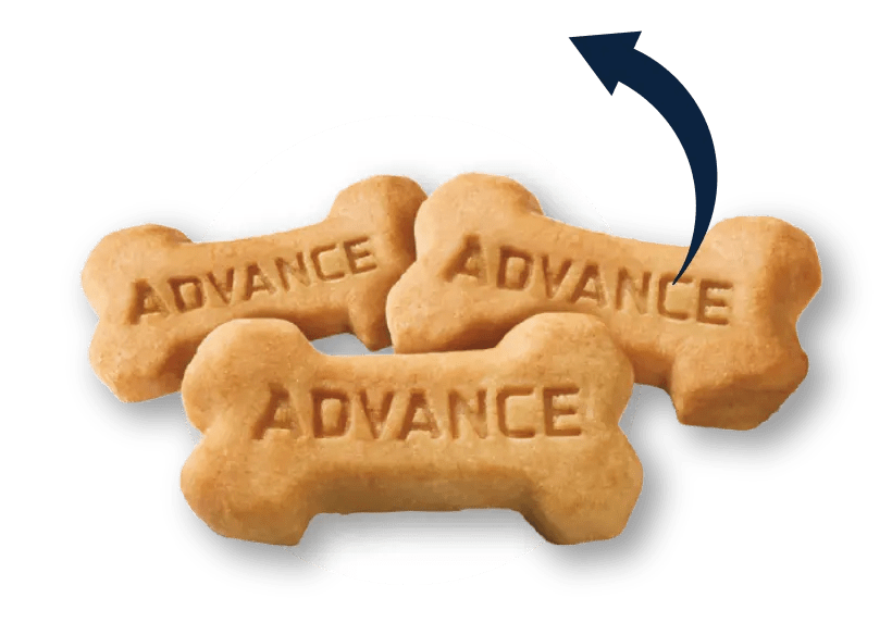 HYPOALLERGENIC SNACK Dog Advance Affinity