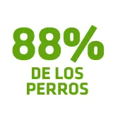 Reducen la <b>formación de sarro</b>
