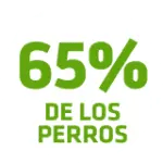 Tienen un <strong>aliento más fresco</strong>