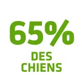 ont une <b>haleine plus fraîche</b>