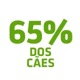 registaram um <b>hálito mais fresco</b>