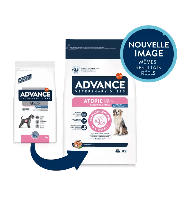 ATOPIC & FOOD SENSITIVITY MEDIUM / MAXI