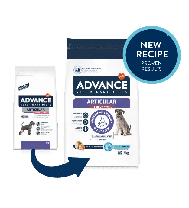 ARTICULAR SENIOR