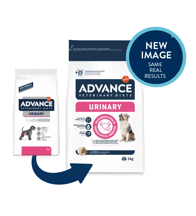 URINARY