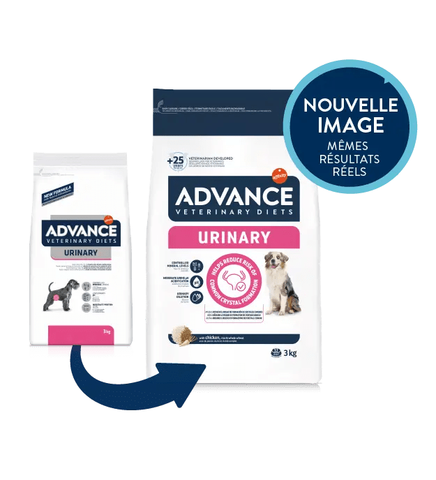 URINARY