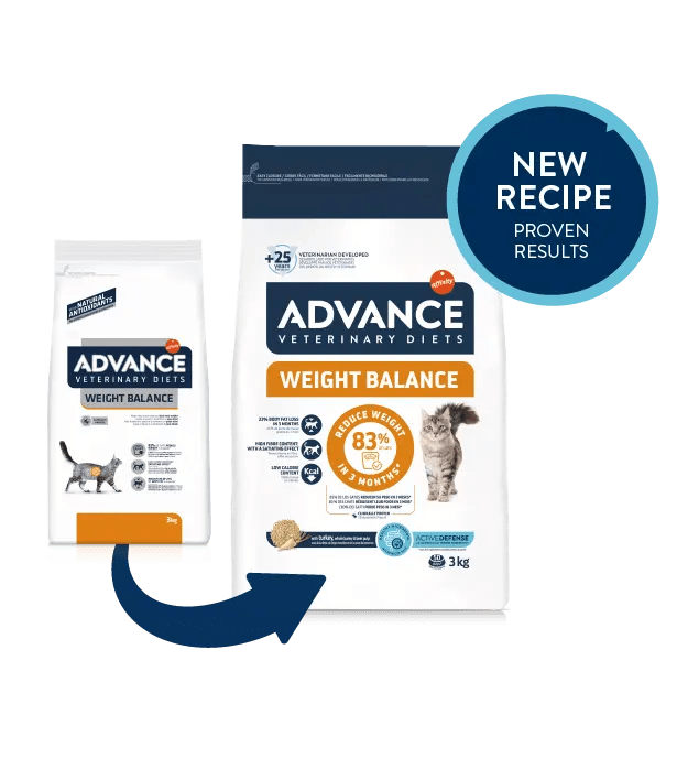 WEIGHT BALANCE