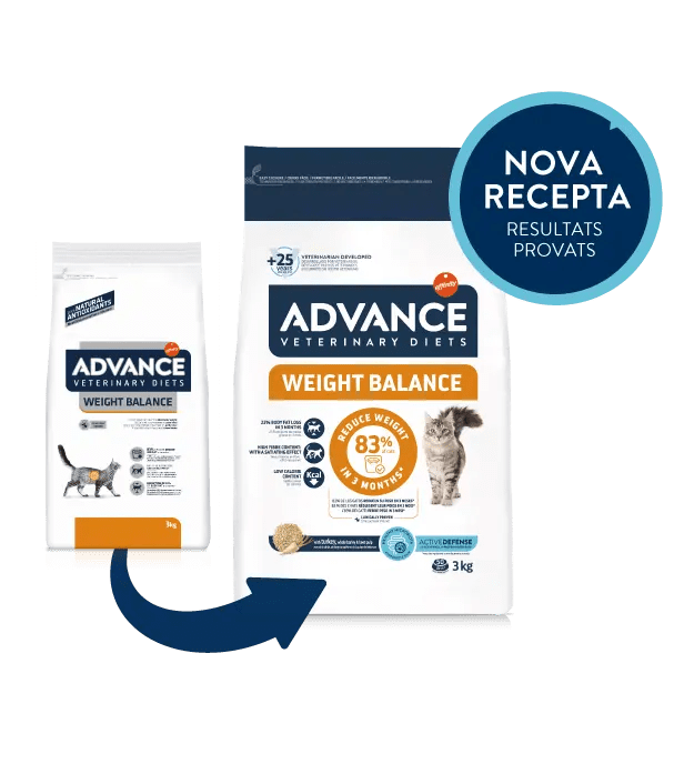 WEIGHT BALANCE