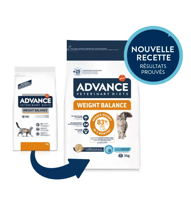 WEIGHT BALANCE