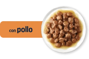 BOCINETS EN SALSA KITTEN AMB POLLASTRE