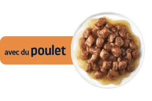 KITTEN AVEC DU POULET EN POCHON
