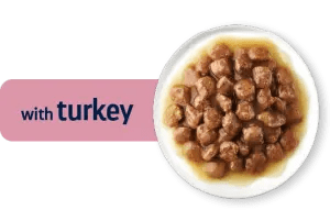 KITTEN WITH TURKEY