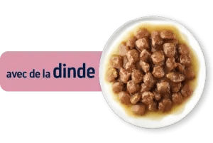 KITTEN AVEC DE LA DINDE EN POCHON