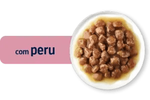 KITTEN COM PERU EM SAQUETAS