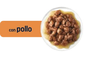 BOCINETS EN SALSA ADULT AMB POLLASTRE