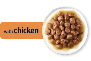 CHUNKS IN GRAVY ADULT WITH CHICKEN