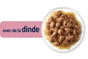 STERILIZED ADULT AVEC DE LA DINDE EN POCHON