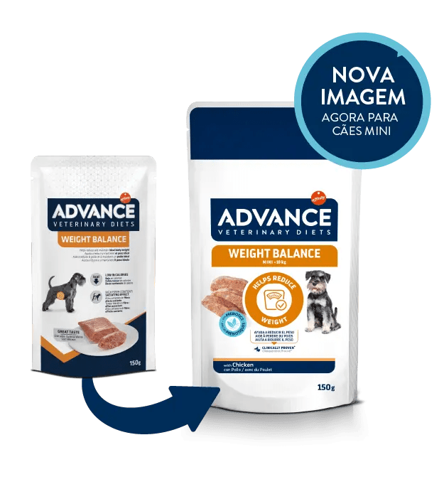 WEIGHT BALANCE MINI