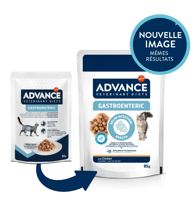 GASTROENTERIC